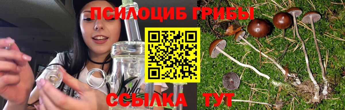 Галлюциногенные грибы прущие грибы Можайск