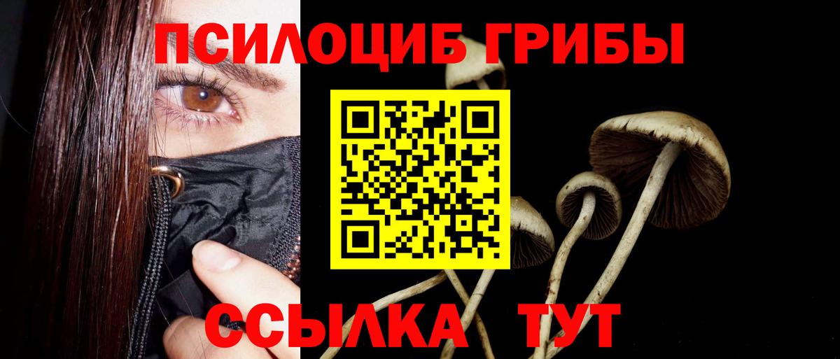 Псилоцибиновые грибы ЛСД  Псилоцибиновые грибы мицелий  Можайск  Вход с VPN 